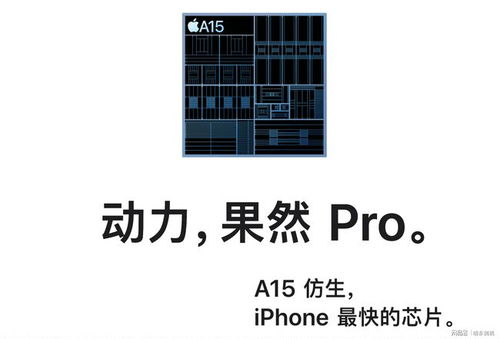 iPhone 13系列对比iQOO 8 Pro,谁的综合实力更值得一选